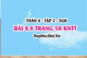 Bài 8.8 trang 50 Toán 6 Tập 2 Kết nối tri thức